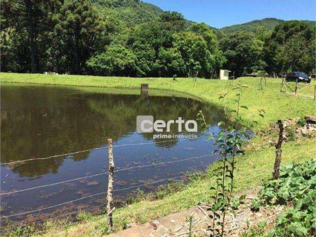 Sítio Rural à venda, Morro Calçado, Canela