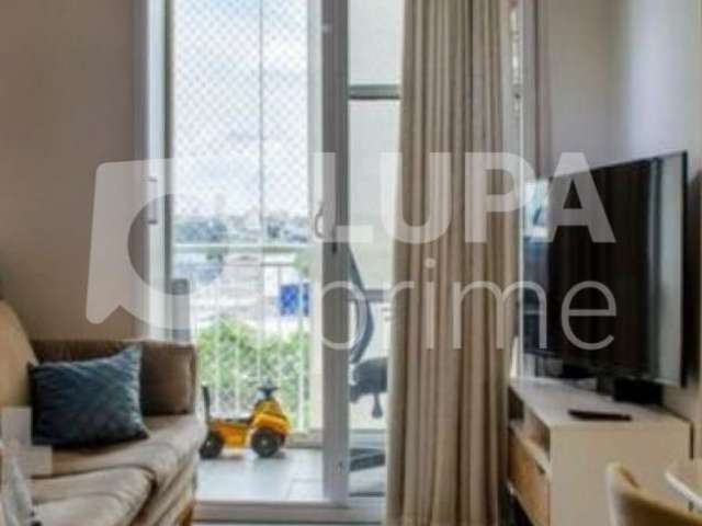 Apartamento com 3 quartos para venda, vila guilherme, são paulo