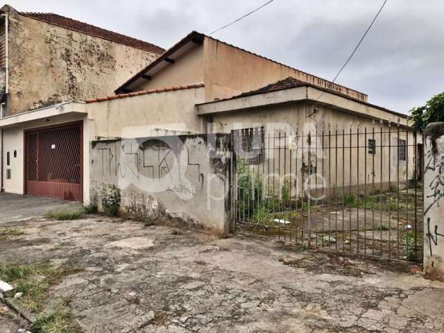 Terreno residencial com 576m² para venda, vila maria alta, são paulo