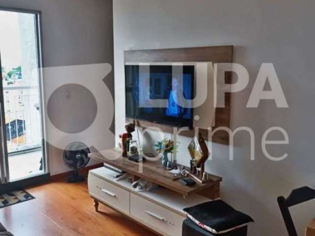 Apartamento com 2 quartos para venda, vila são ricardo, guarulhos