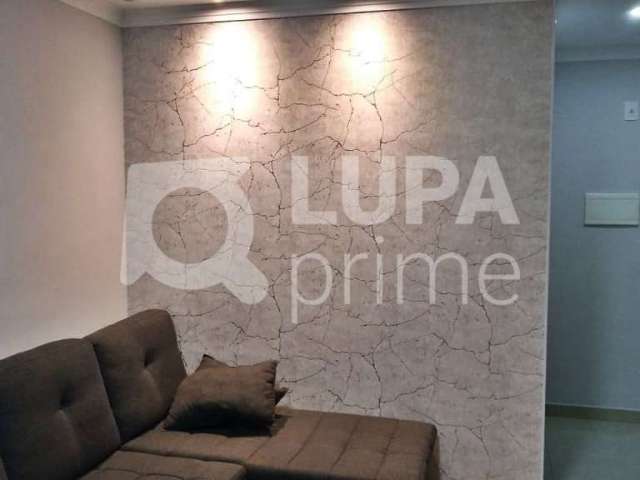 Apartamento com 3 quartos para venda, vila guilherme, são paulo