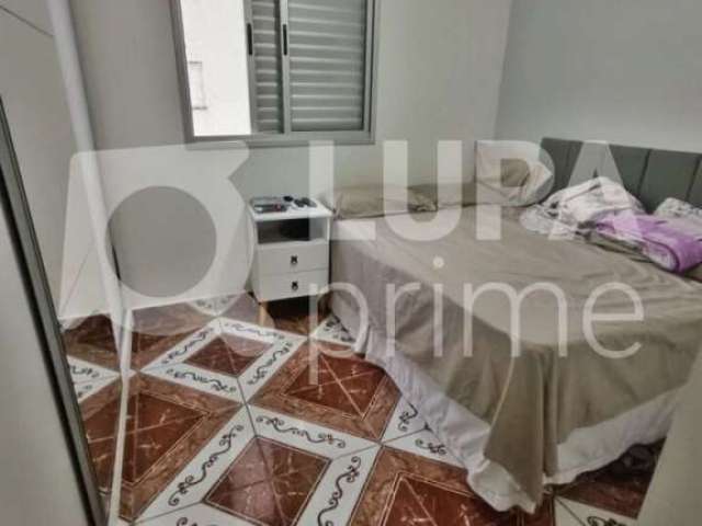 Apartamento com 3 quartos para venda, parque novo mundo, são paulo