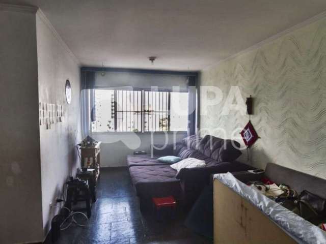 Apartamento com 3 quartos para venda, água fria, são paulo