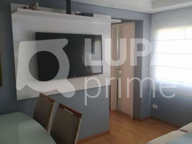 Apartamento com 2 dormitórios á venda vila Mazzei