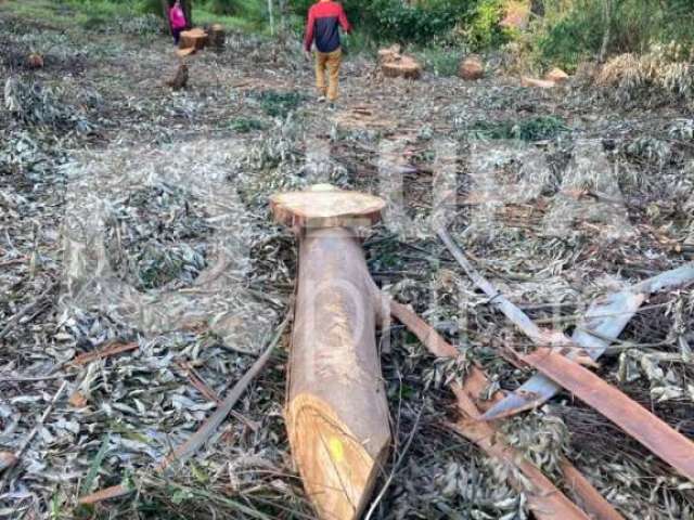 Terreno, em condomínio fechado, de 1575m² à venda, em Mairiporã