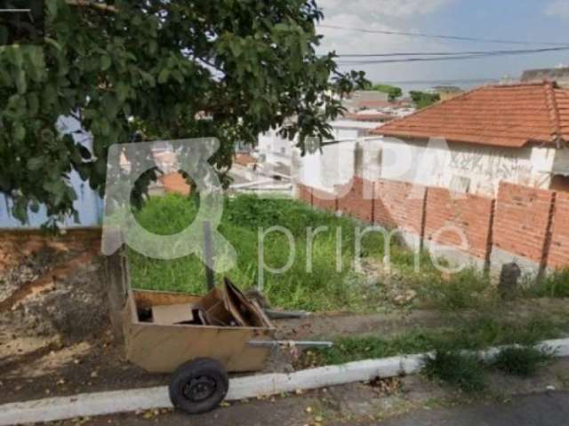 Terreno com 326 metros à venda na Vila Carbone!