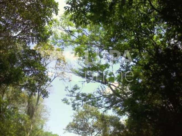 Terreno à venda na Serra da Cantareira!