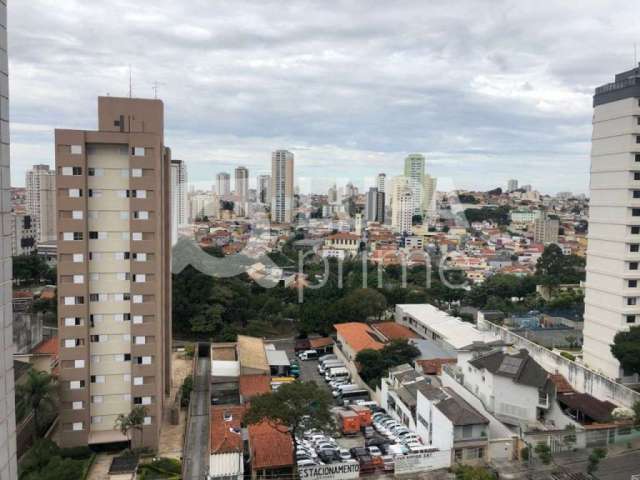 Apartamento com 3 dormitórios sendo 1 suíte à venda na Vila Paulicéia!