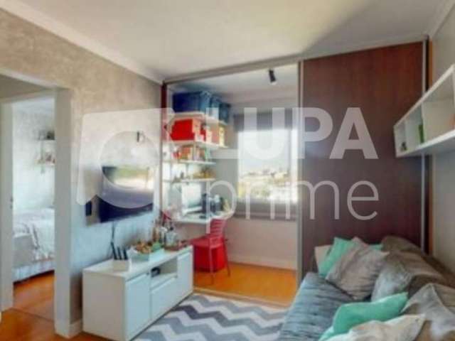 Apartamento com 1 quarto á venda- sítio do mandaqui