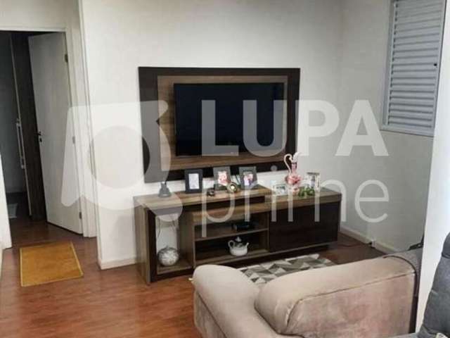 Apartamento com 2 quartos para venda, vila guilherme, são paulo