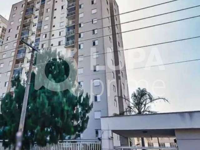 Apartamento com 3 quartos sendo 1 suíte e 1 vaga  para venda, vila guilherme, são paulo