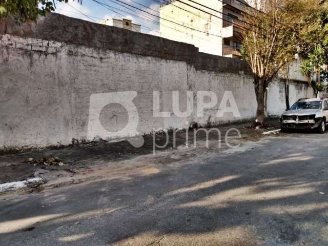 Terreno comercial com 1.600m² para locação na vila guilherme