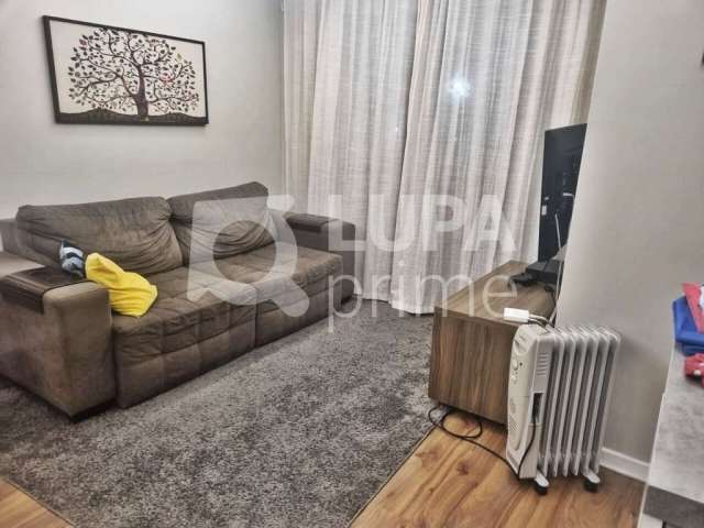 Apartamento com 2 quartos à venda no lauzane paulista