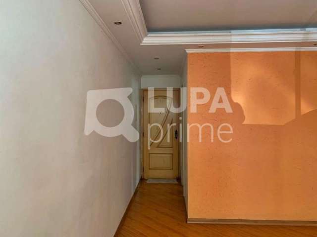 Apartamento com 3 quartos para venda, vila guilherme, são paulo