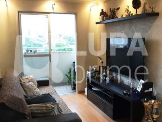 Apartamento com 3 quartos para venda, parada inglesa, são paulo