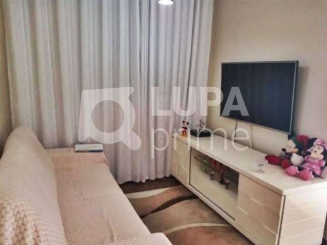 Apartamento com 3 quartos para venda, freguesia do ó, são paulo