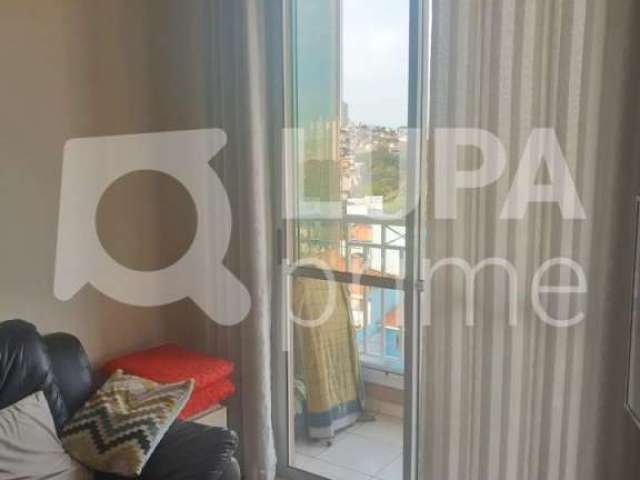 Apartamento com 3 quartos para venda, vila maria, são paulo