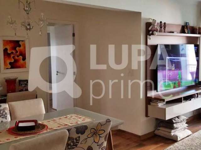 Apartamento com 3 quartos para venda, alto da mooca, são paulo