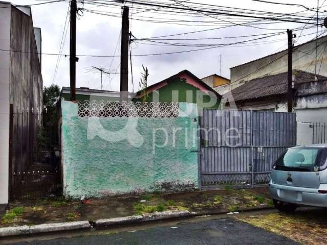 Casa térrea para renda, vila maria baixa, são paulo