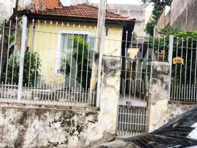 Terreno para venda, vila maria, são paulo