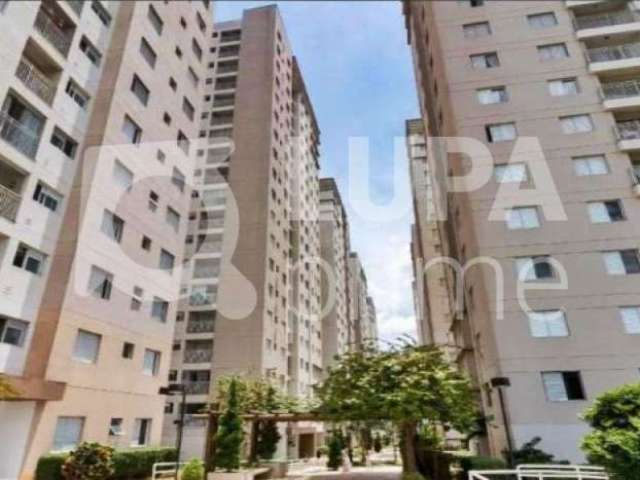 Apartamento com 2 quartos para venda, ponte grande, guarulhos