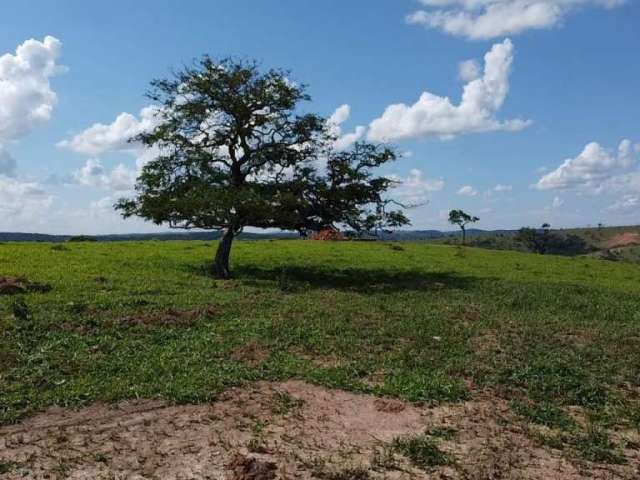 Fazendinhas  'BELA VISTA'  