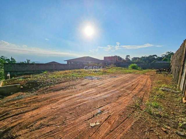 TERRENO no BOM RETIRO com 0 quartos para VENDA, 450 m²