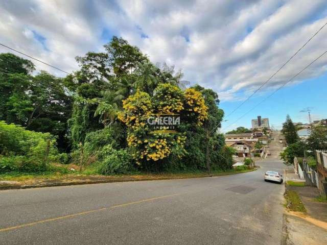 TERRENO no PETRÓPOLIS com 0 quartos para VENDA, 726 m²