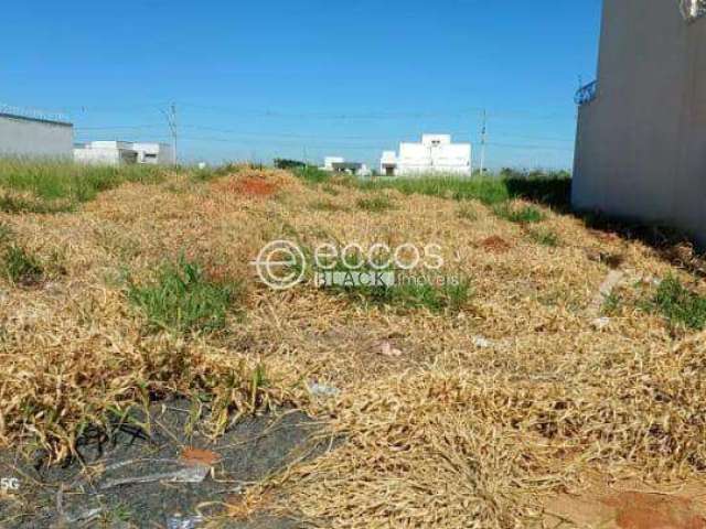 Terreno para aluguel, Alto Umuarama - Uberlândia/MG