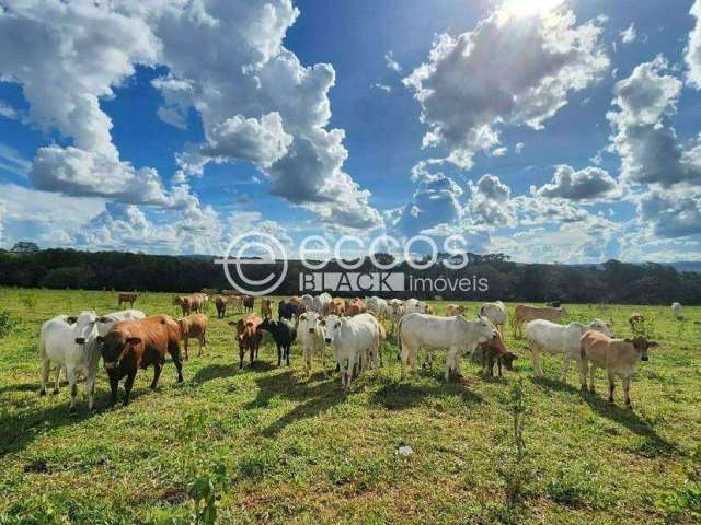 Fazenda à venda, 4 quartos, 1 suíte, Zona Rural - CAMPO FLORIDO/MG