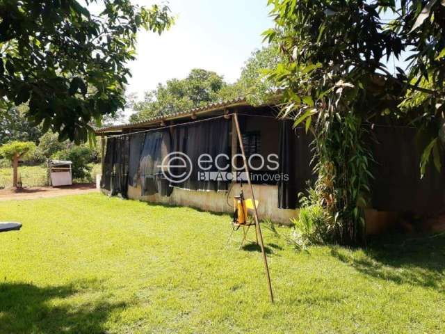 Chácara à venda, 2 quartos, Área Rural de Uberlândia - Uberlândia/MG