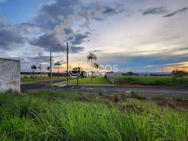 Terreno à venda, Alto Umuarama - Uberlândia/MG