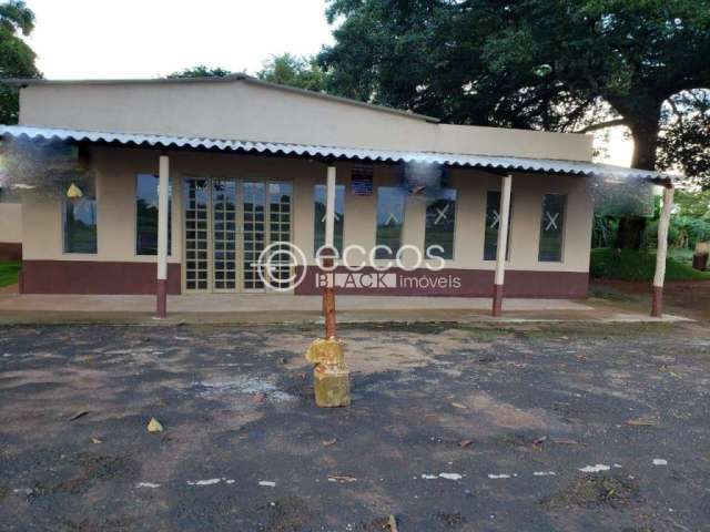 Fazenda à venda, 2 quartos, 6 vagas, Morada do Sol - Uberlândia/MG