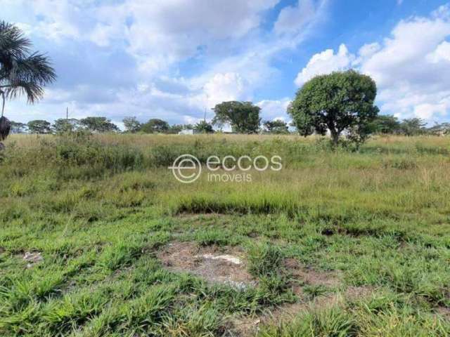 Terreno à venda, Jardim Inconfidência - Uberlândia/MG