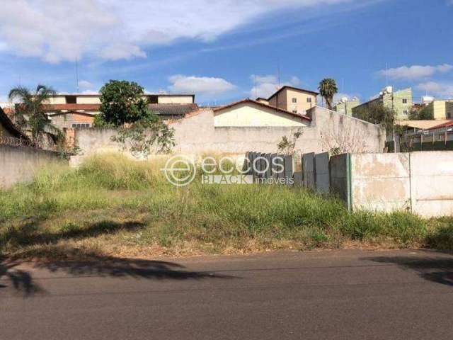 Terreno à venda, Chácaras Tubalina e Quartel - Uberlândia/MG