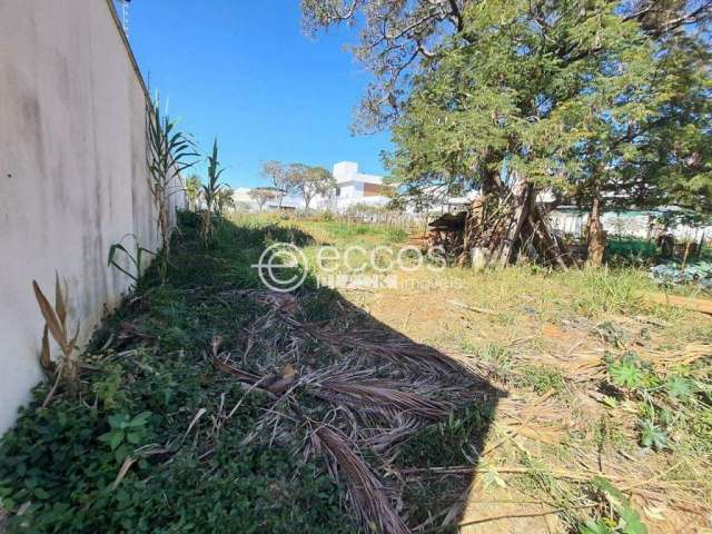 Terreno à venda, Jardim Karaíba - Uberlândia/MG