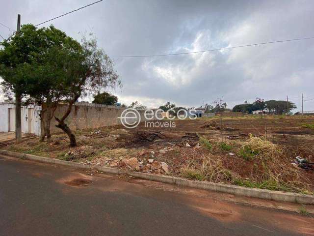 Terreno à venda, Jardim Ipanema - Uberlândia/MG