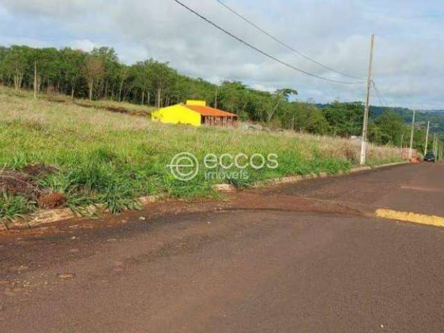 Chácara à venda, 2 quartos, Tapuirama - Uberlândia/MG