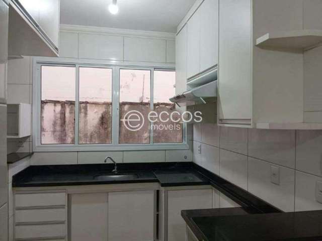 Apartamento à venda, 2 quartos, 1 suíte, 1 vaga, Vigilato Pereira - Uberlândia/MG