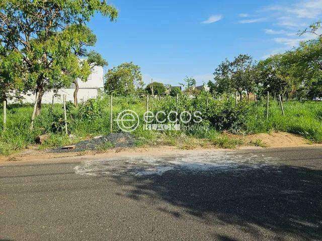 Terreno à venda, Jardim Inconfidência - Uberlândia/MG