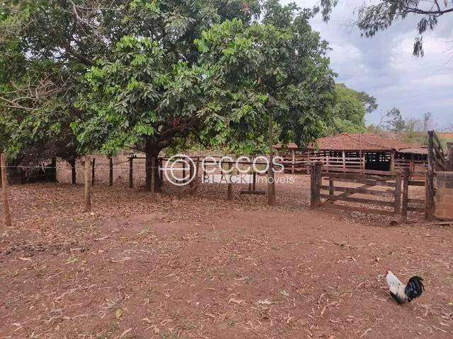 Fazenda à venda, 4 quartos, Miraporanga - Uberlândia/MG