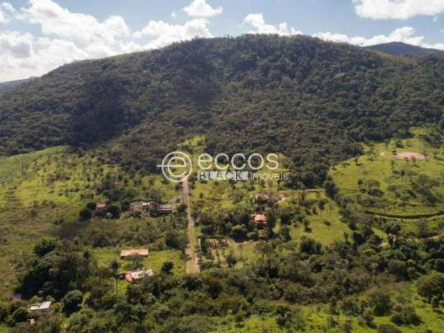 Fazenda à venda, Área Rural de Uberlândia - Uberlândia/MG