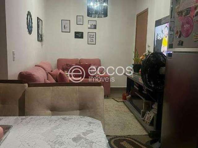 Apartamento à venda, 2 quartos, 1 suíte, 1 vaga, Minas Gerais - Uberlândia/MG