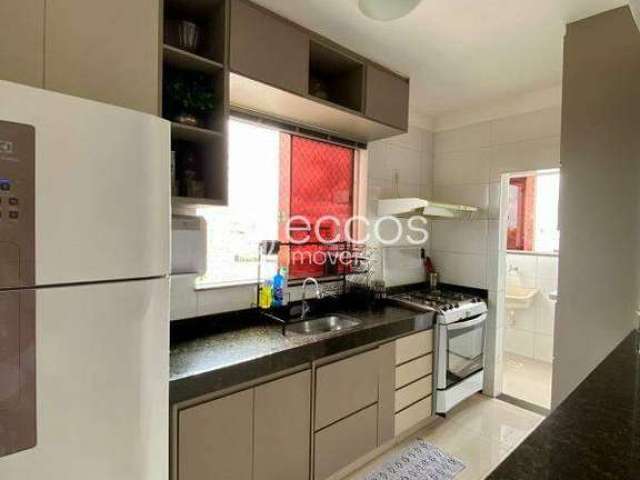 Apartamento à venda, 2 quartos, 1 suíte, 2 vagas, Novo Mundo - Uberlândia/MG