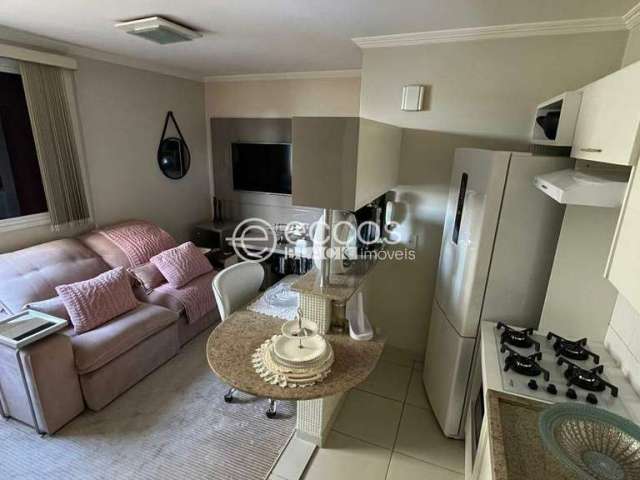 Apartamento para aluguel, 1 quarto, 1 suíte, 1 vaga, Santa Maria - Uberlândia/MG