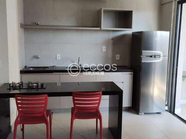 Apartamento para aluguel, 1 quarto, 1 suíte, 1 vaga, Santa Maria - Uberlândia/MG