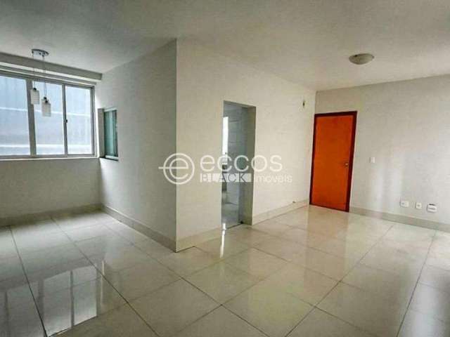 Apartamento à venda, 2 quartos, 1 suíte, 2 vagas, Santo Antônio - Belo Horizonte/MG