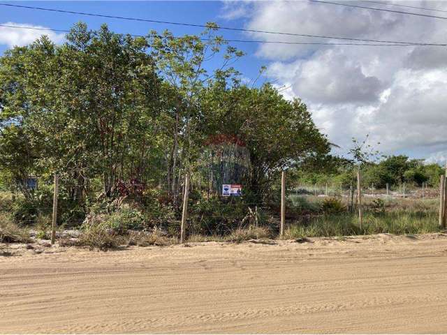 Terreno à Venda em Taipu de Fora - Península de Maraú - Bahia