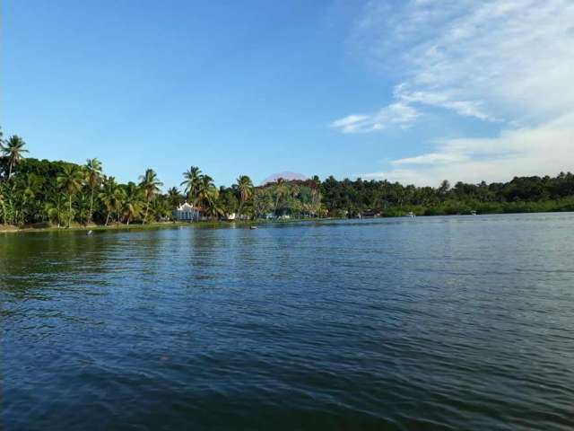 VENDE FAZENDA COM 56,5 m² NA ILHA DO TANQUE - MARAÚ/BA