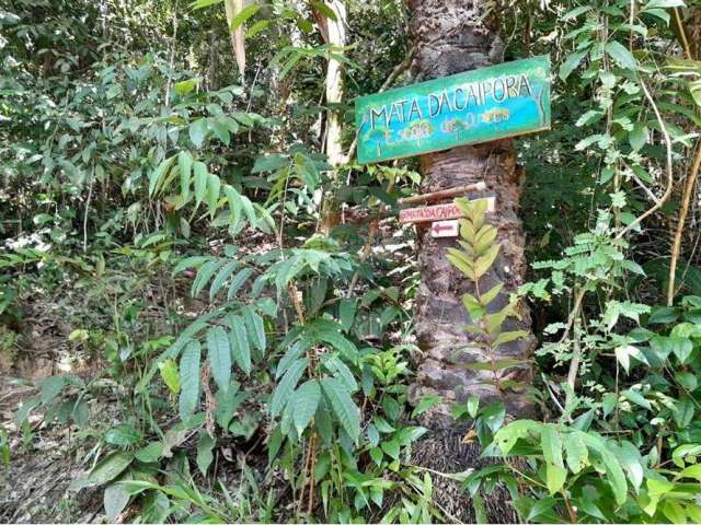 Terreno de 300m² à Venda na Rua da Lagoa – Paz e Natureza em Morro de São Paulo